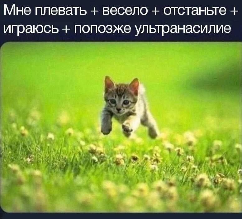 Мне плевать весело отстаньте играюсь попозже ультранасилие