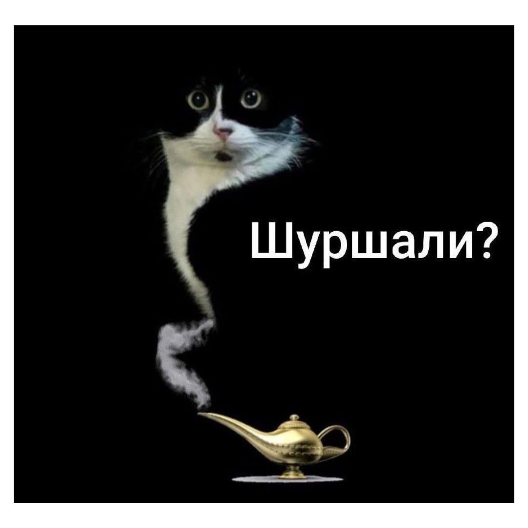 Шуршали?