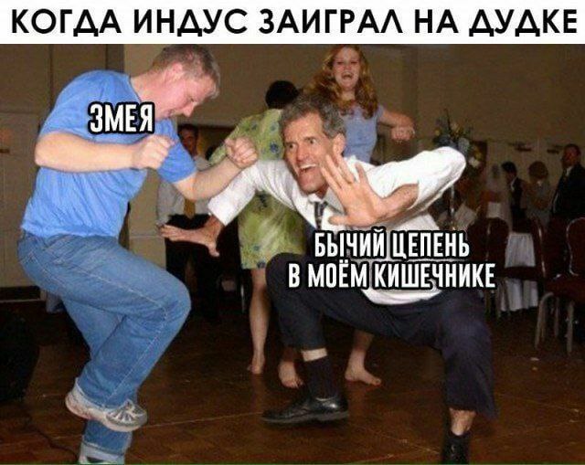 КОГДА ИНДУС ЗАИГРАЛ НА ДУДКЕ ЗМЕЯ ЦЕПЕНЬ МОЕМ КИШЕЧНИКЕ