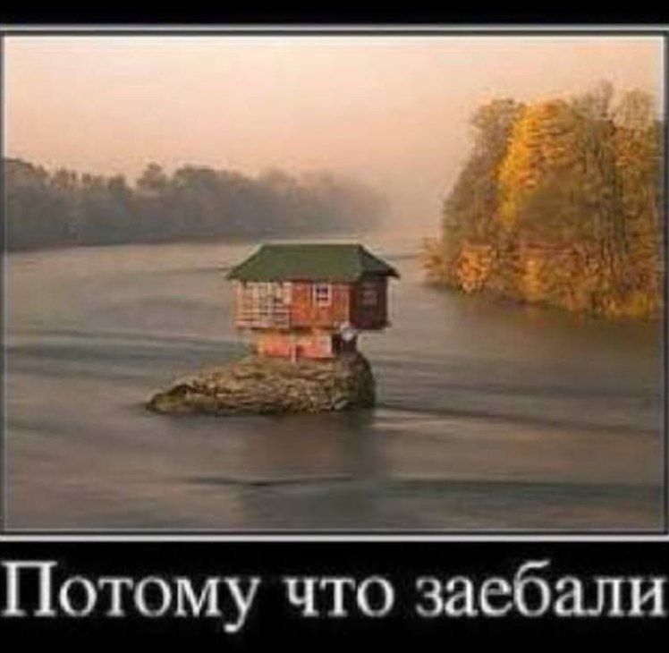 Потому что заебали