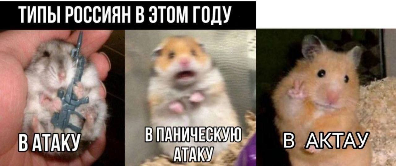 ТИПЫ РОССИЯН В ЭТОМ ГОДУ ATAKY В АКТАУ