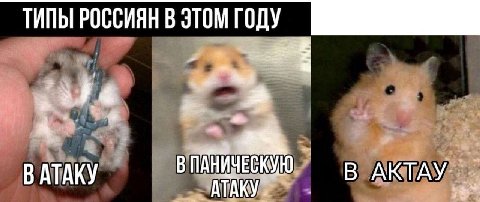 ТИПЫ РОССИЯН В ЭТОМ ГОДУ ATAKY В АКТАУ