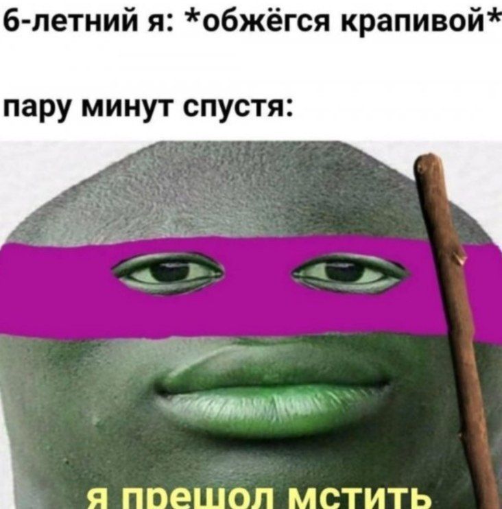 6-летний я: *обжёгся крапивой пару минут спустя: я мстить