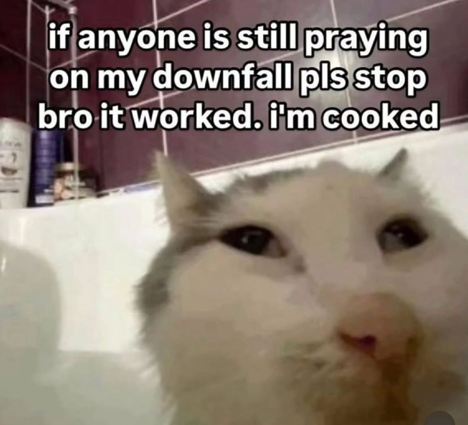 if anyone is still praying downfall pls stop bro it worked. cooked