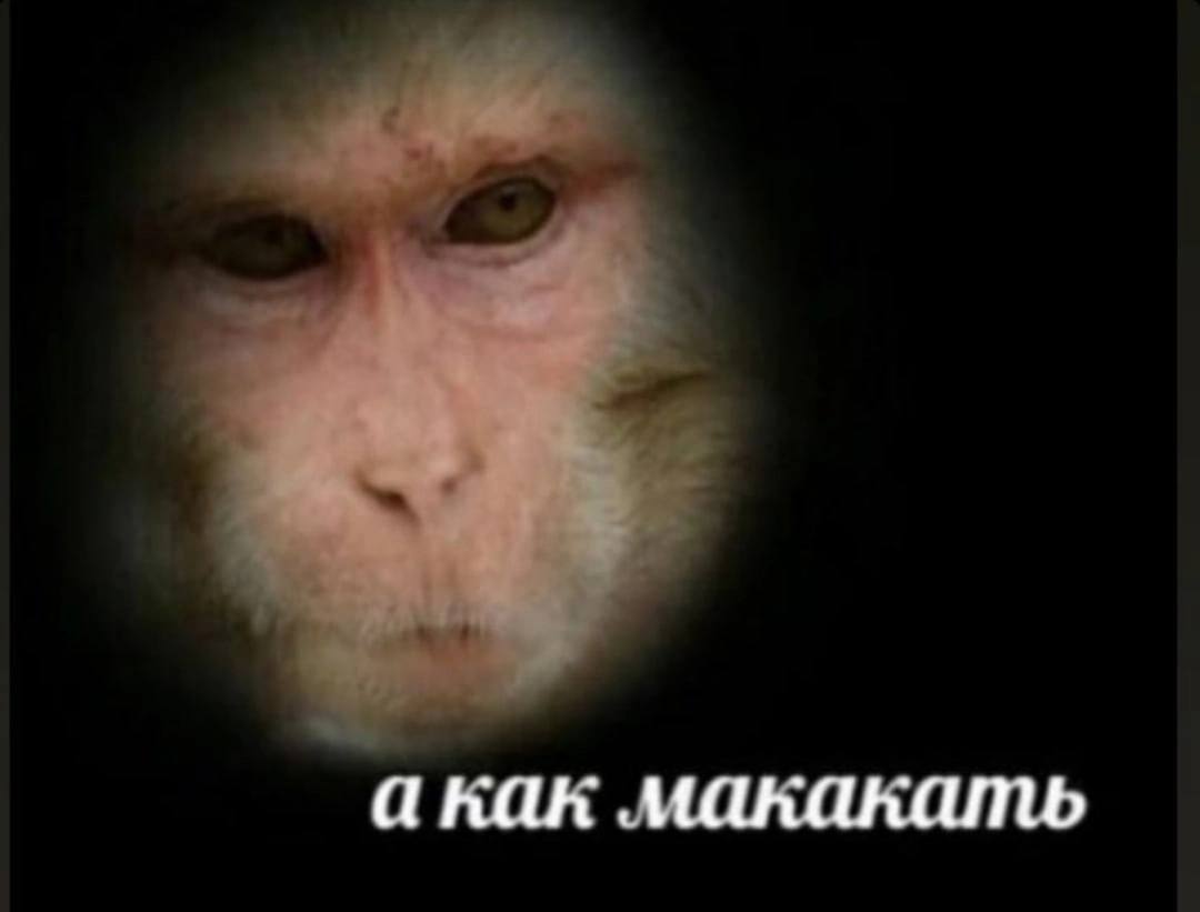 как макакать