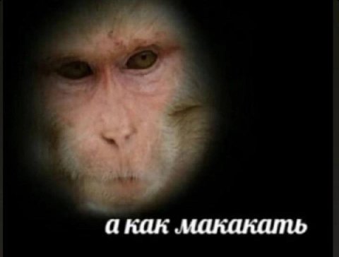 как макакать