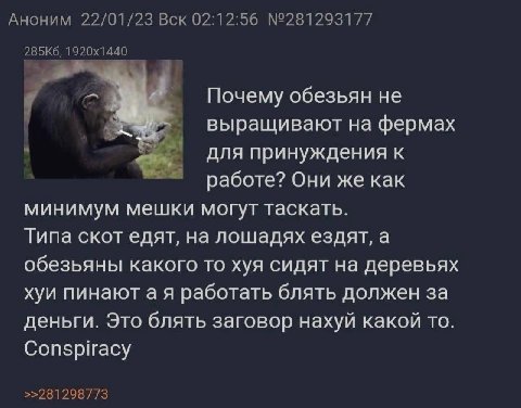 Аноним 22/01/23 Вск 02:12:56 №281293177 Почему обезьян не выращивают на фермах для принуждения к работе? Они же как минимум мешки могут таскать. Типа скот едят, на лошадях ездят, а обезьяны какого то 