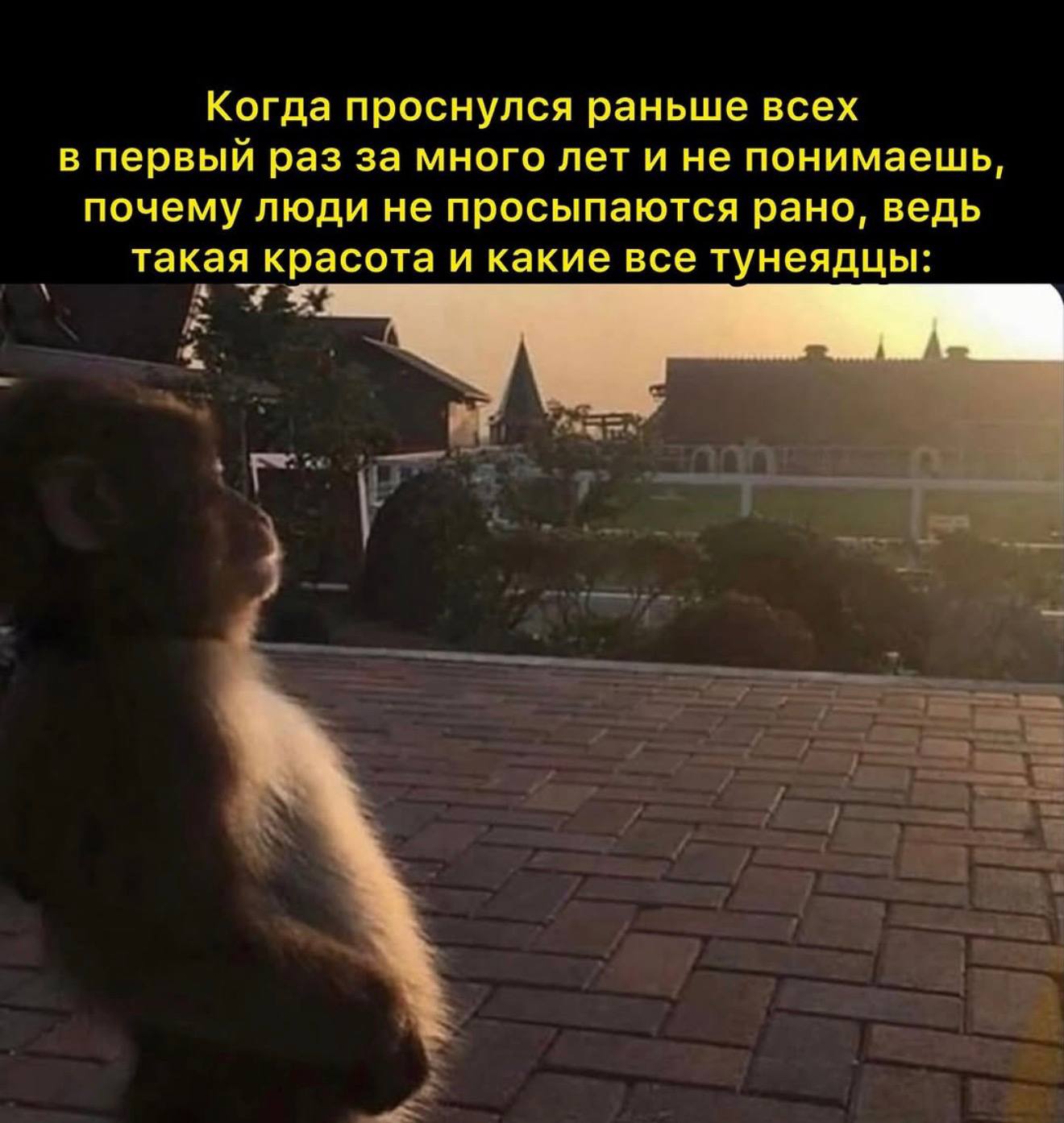 Когда проснулся раньше всех в первый раз за много лет и не понимаешь, почему люди не просыпаются рано, ведь такая красота и какие все тунеядцы: