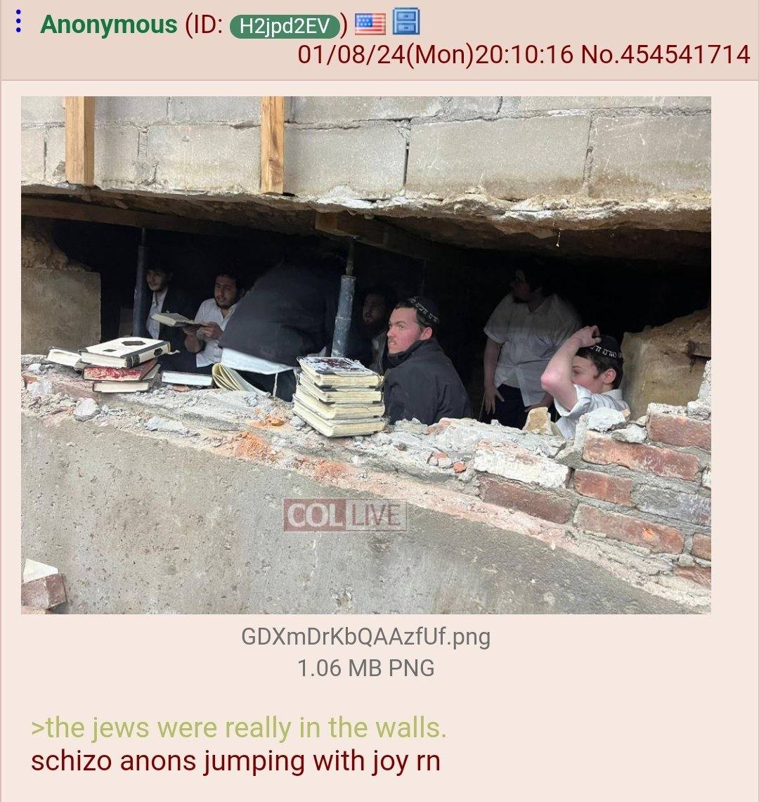 Anonymous 01/08/24(Mon)20:10:16 No.454541714 2 1.06 PNG schizo anons jumping with joy