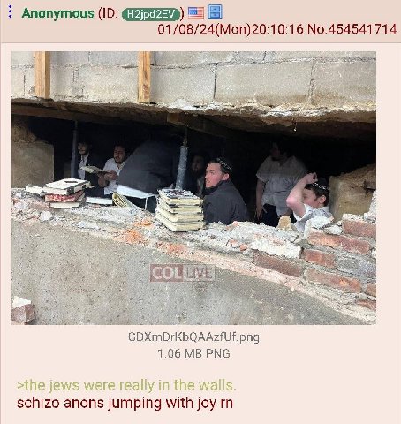 Anonymous 01/08/24(Mon)20:10:16 No.454541714 2 1.06 PNG schizo anons jumping with joy