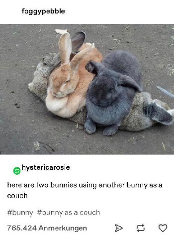 foggypebble 4 и 4 £8 А @hystericarosie here are two bunnies using another bunny as a couch #bunny #bunny as a couch 765.424 Anmerkungen во