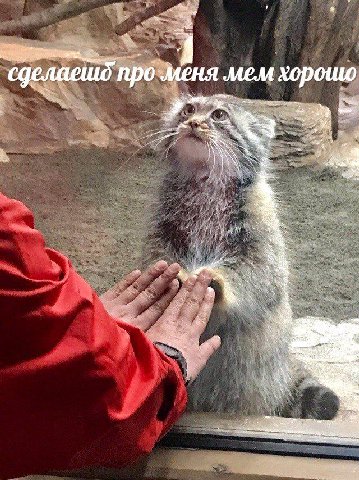 4 PHA MEM хорошо А a