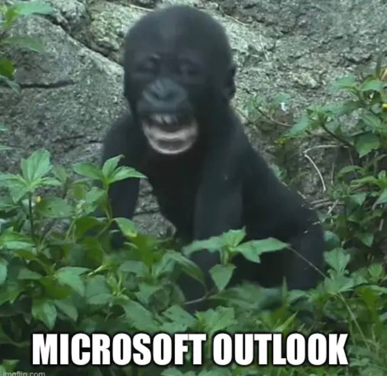 MICROSOFT OUTLOOK