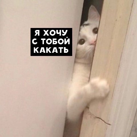 ТОБОЙ КАКАТЬ