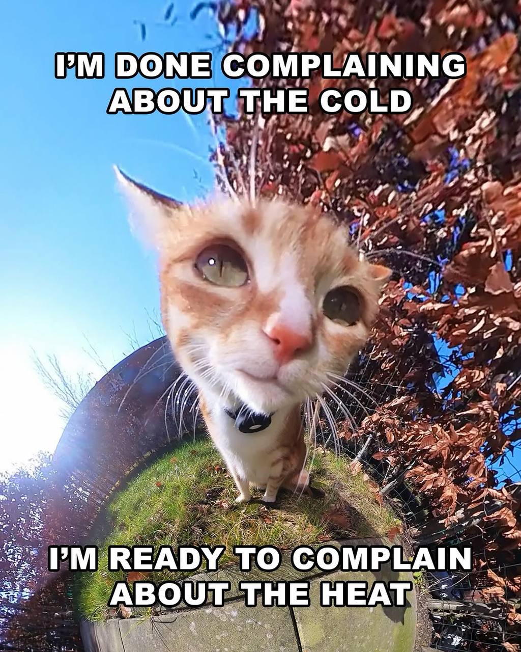 a DONE COMPLAINING ABOUT THE и READY To COMPLAIN. ABOUT. THE HEAT