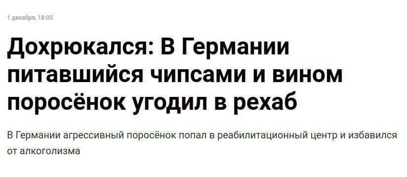 Дохрюкался: В Германии питавшийся чипсами и вином поросёнок угодил в рехаб В Германии агрессивный поросёнок попал в реабилитационный центр и избавился от алкоголизма
