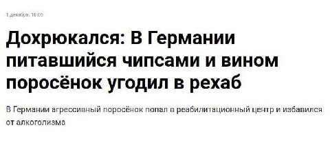 Дохрюкался: В Германии питавшийся чипсами и вином поросёнок угодил в рехаб В Германии агрессивный поросёнок попал в реабилитационный центр и избавился от алкоголизма
