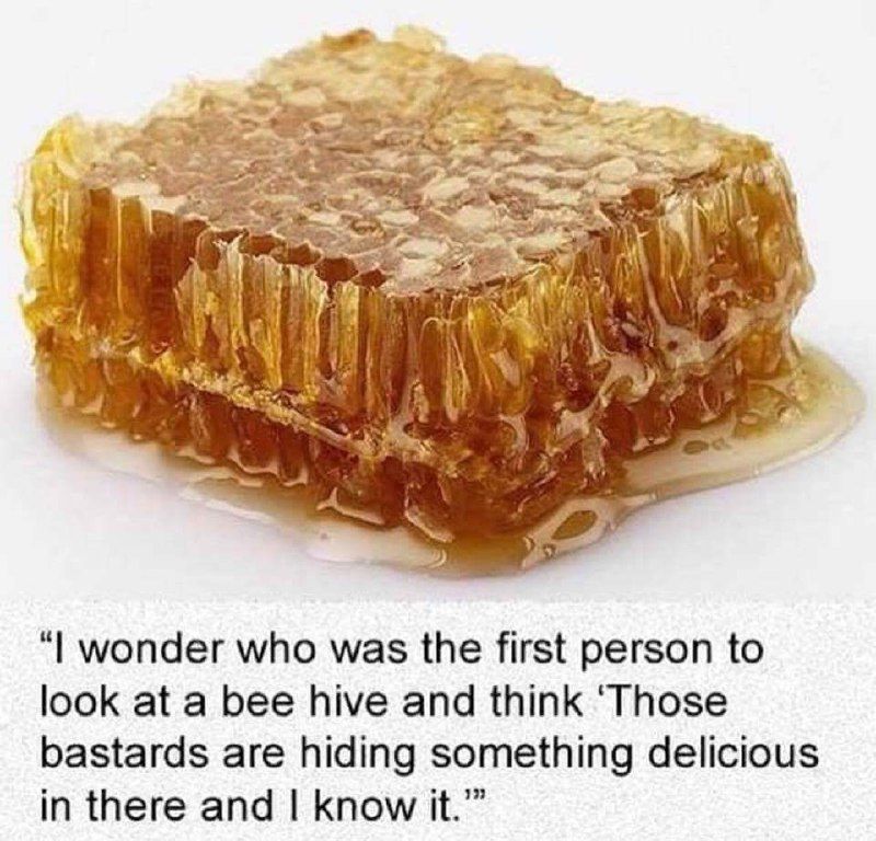 Man, wonder who was the first person to look at a bee hive and think ‘Those bastards are hiding something delicious in there and know it.