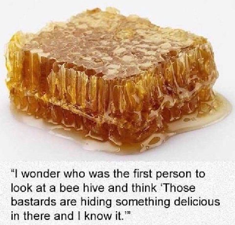 Man, wonder who was the first person to look at a bee hive and think ‘Those bastards are hiding something delicious in there and know it.