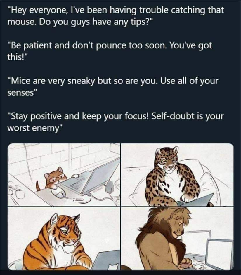 “Hey everyone, I've been having trouble catching that mouse. you guys have any tips?" patient and don't pounce too soon. You've got this!" "Mice are very sneaky but so are you. Use all of your "Stay p