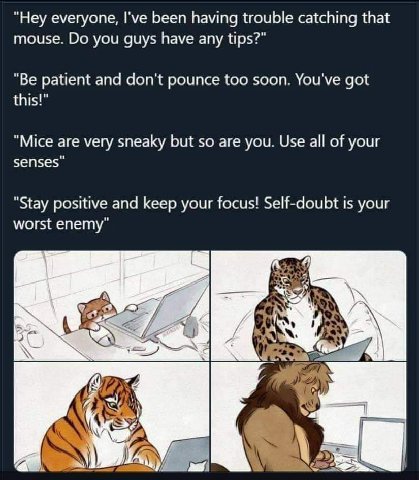 “Hey everyone, I've been having trouble catching that mouse. you guys have any tips?" patient and don't pounce too soon. You've got this!" "Mice are very sneaky but so are you. Use all of your "Stay p