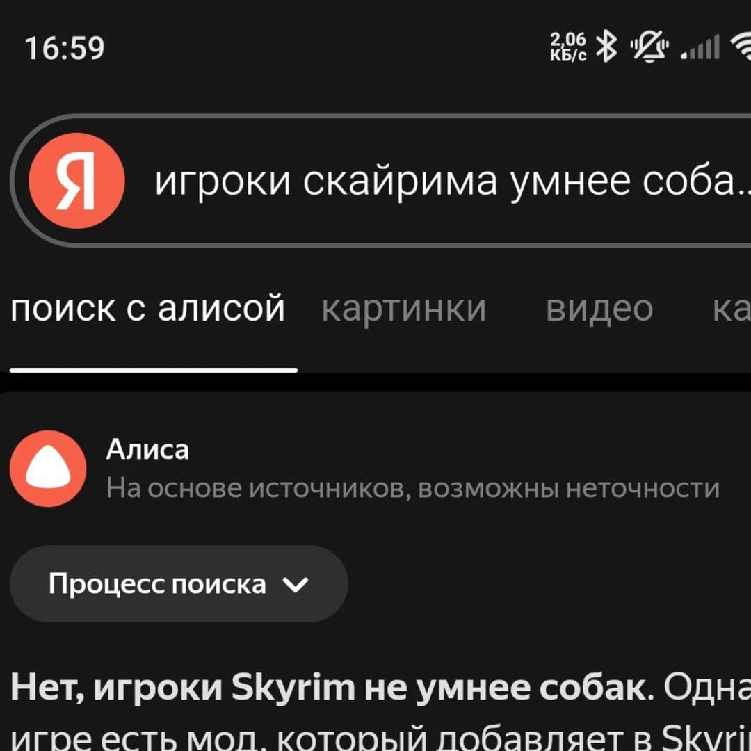 16:59 КБ/с 2,06 all я игроки скайрима умнее соба.. поиск с алисой картинки видео Алиса На основе источников, возможны неточности Процесс поиска Нет, игроки Skyrim не умнее собак. игре есть мол который