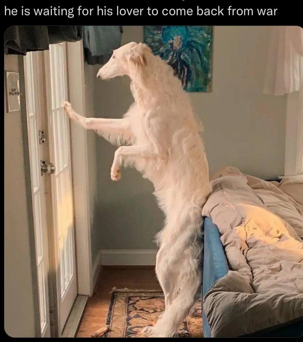 he is waiting for his lover to come back from war A 7