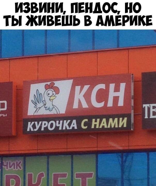 ИЗВИНИ, ПЕНДОС, ТЫ ЖИВЕШЬ В АМЕРИКЕ КУРОЧКА НАМИ