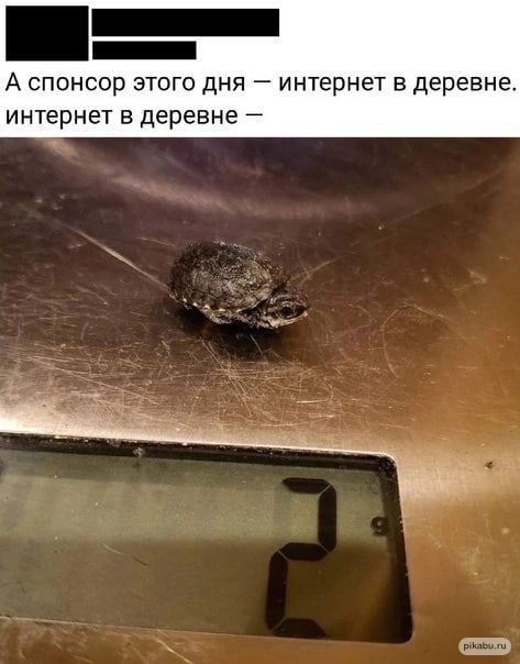 А спонсор этого дня интернет в деревне. интернет в деревне