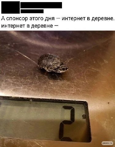А спонсор этого дня интернет в деревне. интернет в деревне
