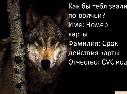 Как бы тебя звали ПО-ВОЛЧЬИ? Имя: Номер карты Фамилия: Срок действия карты Отчество: CVC код