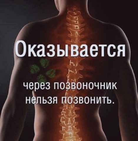 Оказывается через позвоночник нельзя позвонить.