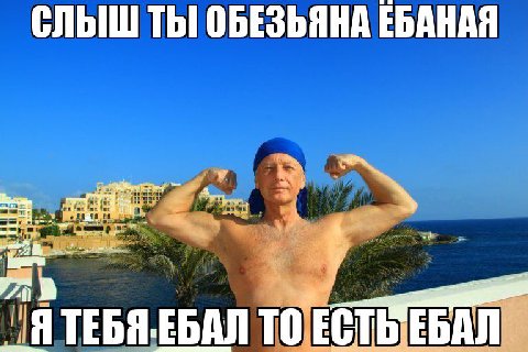 СЛЫШ ТЫ! ОБЕЗЬЯНА ЕБАНАЯ ТЕБЯ.ЕБАЛ