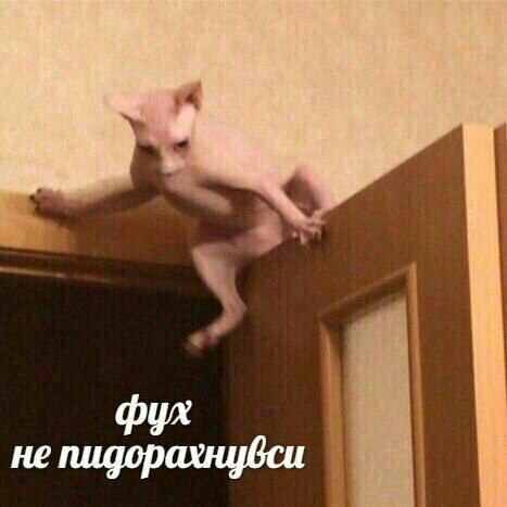 у He