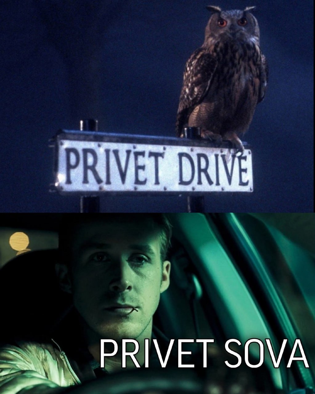 DRIVE PRIVET SOVA