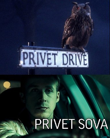 DRIVE PRIVET SOVA