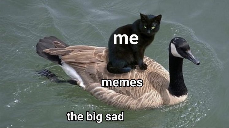 the big sad