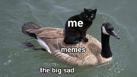 the big sad