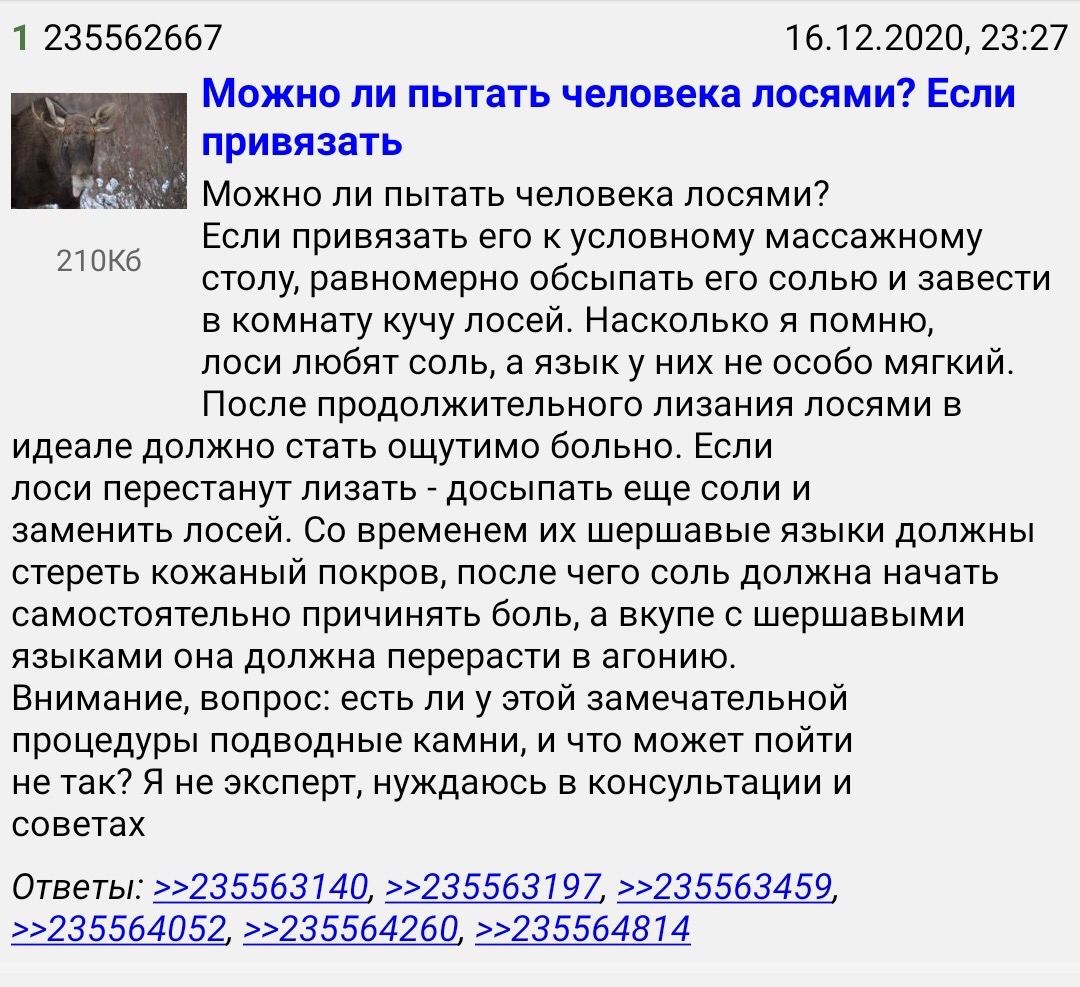 1 235562667 16.12.2020, 23:27 Можно ли пытать человека лосями? Если привязать Можно ли пытать человека лосями? Если привязать его к условному массажному столу, равномерно обсыпать его солью и завести 
