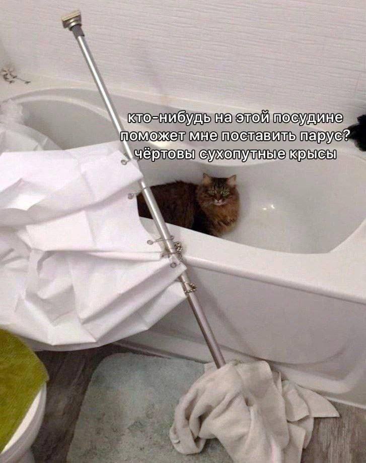ине Может мне поставить парус? чёртовы сухопутные крысы