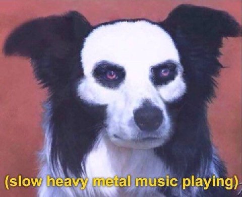 music playing)