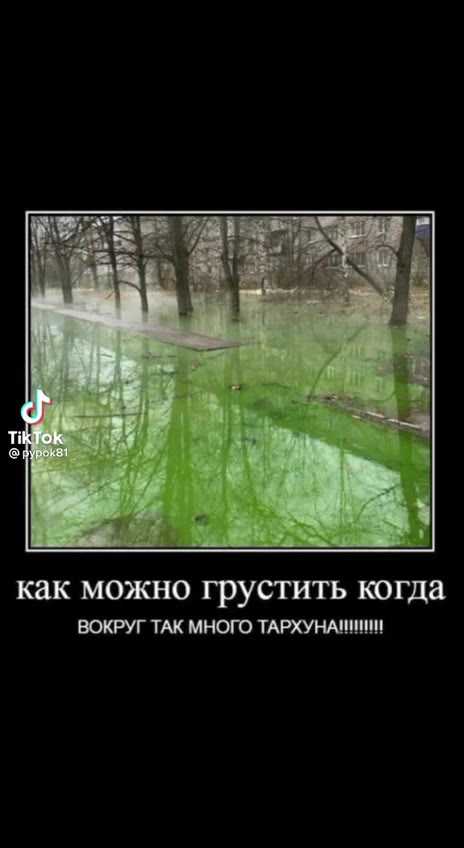 как можно грустить когда ВОКРУГ ТАК МНОГО ТАРХУНАНИИ!!