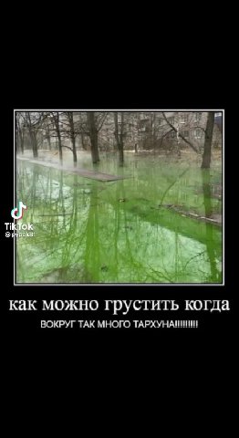 как можно грустить когда ВОКРУГ ТАК МНОГО ТАРХУНАНИИ!!