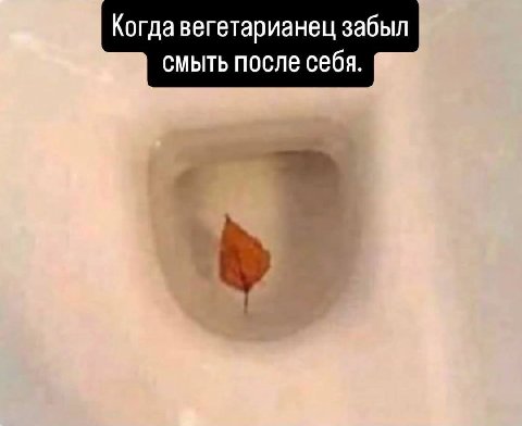 Когда вегетарианец забыл смыть после себя.