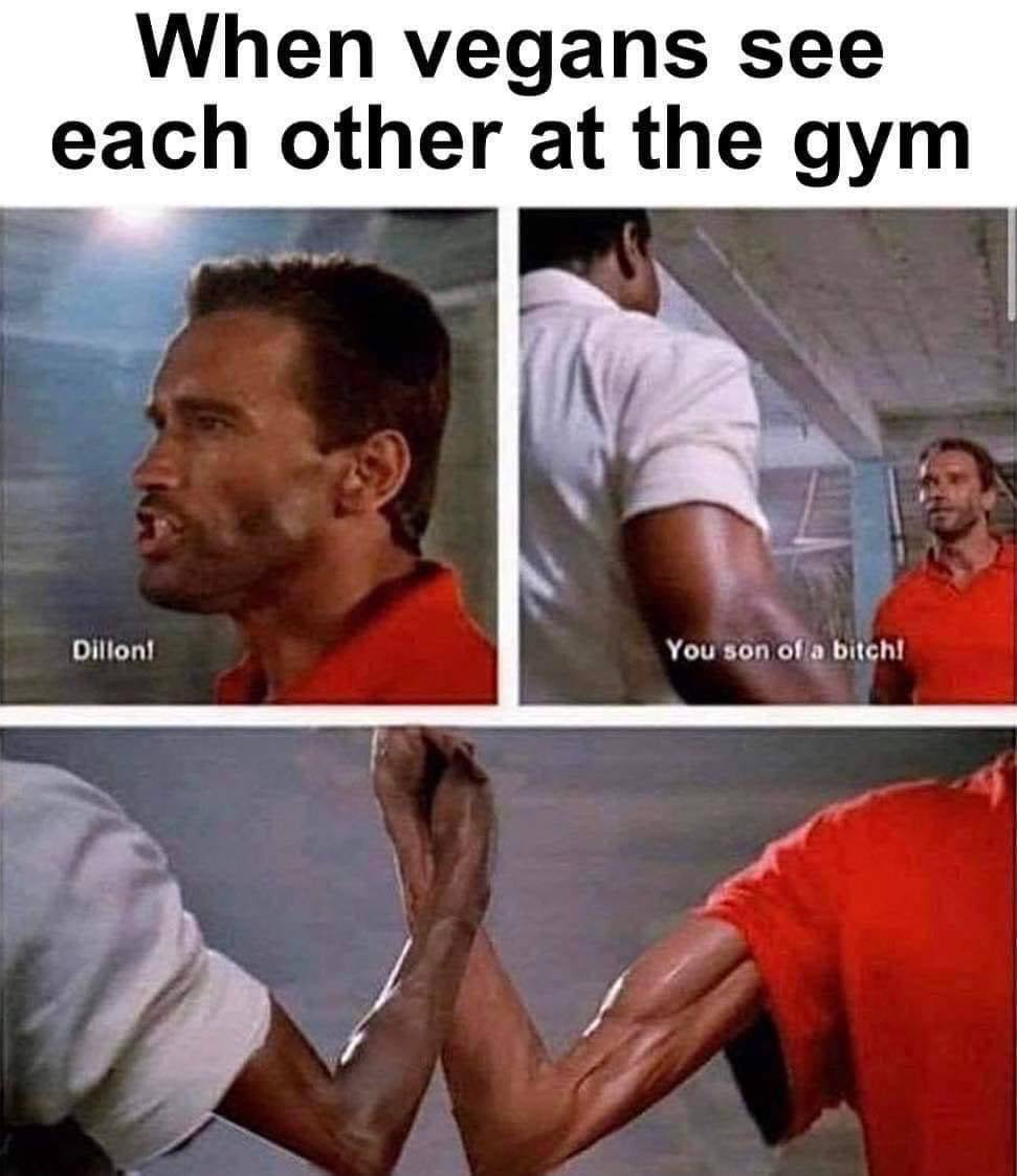When vegans see each other at the gym