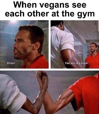 When vegans see each other at the gym