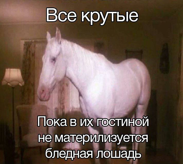 Все крутые Пока в гостиной не материлизуется бледная лошадь