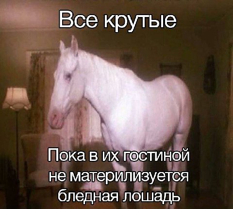 Все крутые Пока в гостиной не материлизуется бледная лошадь