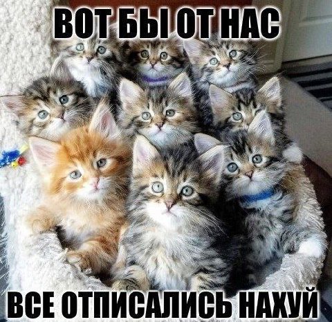 bbl 5, 2) Fre 2 4% ‘BCE ОТПИСАЛИСЬ НАХУЙ