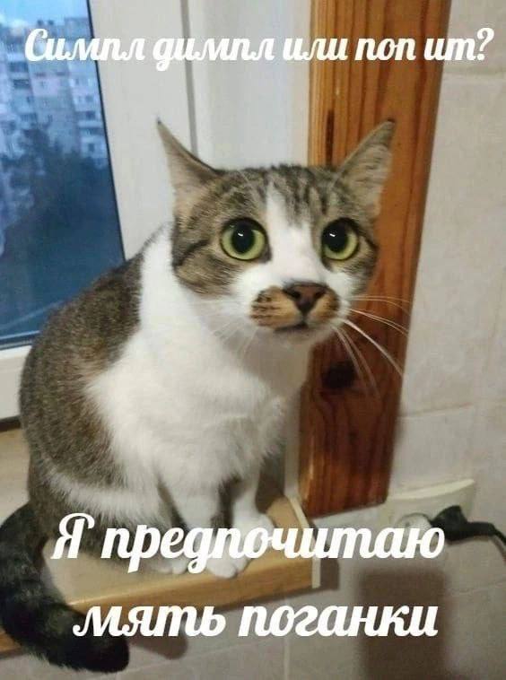 или поп предпочитаю мять поганки